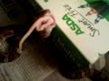 Shona Eating part 2 Shona Eating part 2