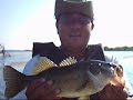 pesca en melchor ocampo y el botón