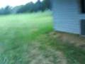 videos de 4-wheeling