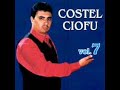 Costel Ciofu - Te-am ales (2002)