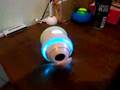 Sony Rolly meets Polyrhythm