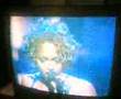 Antonia Jeane' on Showtime at the Apollo
