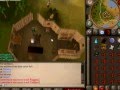 Quist guide: The grand tree