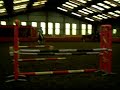 Pony Jumping - Queenie & Frankie; Good Jump (Y) Pony Jumping - Queenie & Frankie; Good Jump (Y)