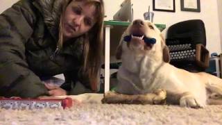 04-28-16/ Bedtime Fred