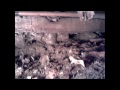 plumbing & erosion under the house