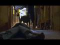  - MovieZen Video