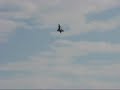 Gripen at Cakovec Airshow 2007 Gripen at Cakovec Airshow 2007