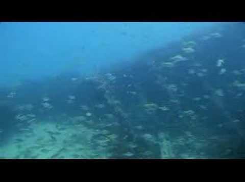 Image de prévisualisation YouTube