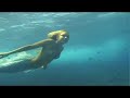 hannah-mermaid-shipwreck.html