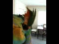 Caique Mars Towel Surfing