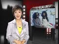 zhou xun in a scene of a wedding in 
