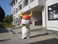 ひこにゃん　受検者を激励　in 彦根城下町検定