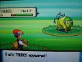Shiny Tauros (1 of 3) pokeradar chain 41 pokemon diamond Shiny Tauros (1 of 3) pokeradar chain 41 pokemon diamond