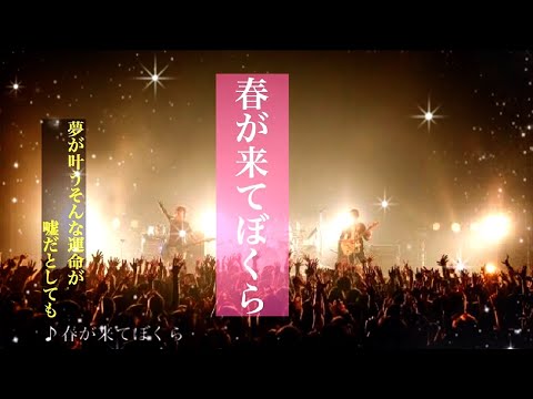 動画