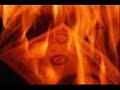 2gz-Feed Bac 2gz-Feed Bac