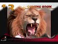 اقوى جمهور ليبي