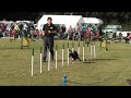 Ribena Tuffstuff Agility Final 2008 Ribena Tuffstuff Agility Final 2008