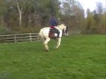 Samson\