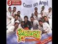 yaguaru - Cuentale