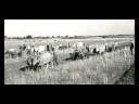 A short history by cecelian A short history by cecelian
