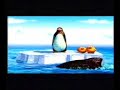 Angry Penguin