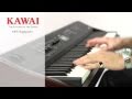 KAWAI MP6 Stage Piano Demo