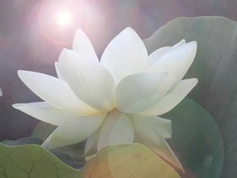 Image de prévisualisation YouTube