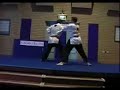 Fudoshin Bujutsu - Alstonville Demo Fudoshin Bujutsu - Alstonville Demo
