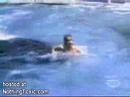 Killer whale attacks a woman Killer whale attacks a woman
