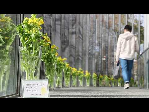 動画
