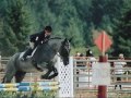 PONY WANTED!!!