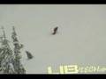 Blair Skate Banana Footage Lib Tech Snowboard