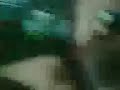 dexter antua