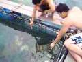 Thailand fish farm koh samed