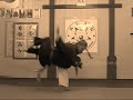 Jiu-Jitsu Shizoku-Ryu - 024 - Kasia rzuca