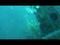 U-352 Dive