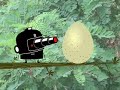 The Sensibles - Episode 03