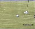 Migawki - Senior Golf Tour - w BPGC i ABGC Migawki - Senior Golf Tour - w BPGC i ABGC