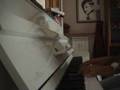 Couperin - Les Barricades Mystérieuses on the piano
