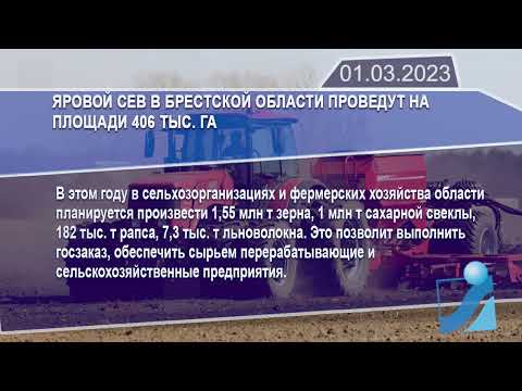 Новостная лента Телеканала Интекс 01.03.23.