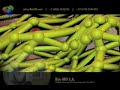 Matriz Extracelular.wmv