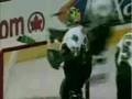 Funny NHL bloopers