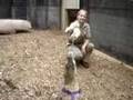 Komodo Training