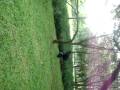 videos de Momento Biel Winehouse Parte 1