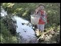 The crawfish hunter
