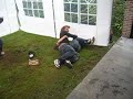 funny vid