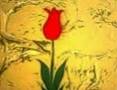 MUAZZEZ ERSOY  YUNUS G�B�
