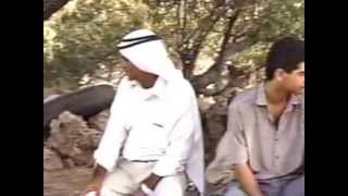 قرية الجيب 1991