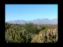Ecotour Helderberg